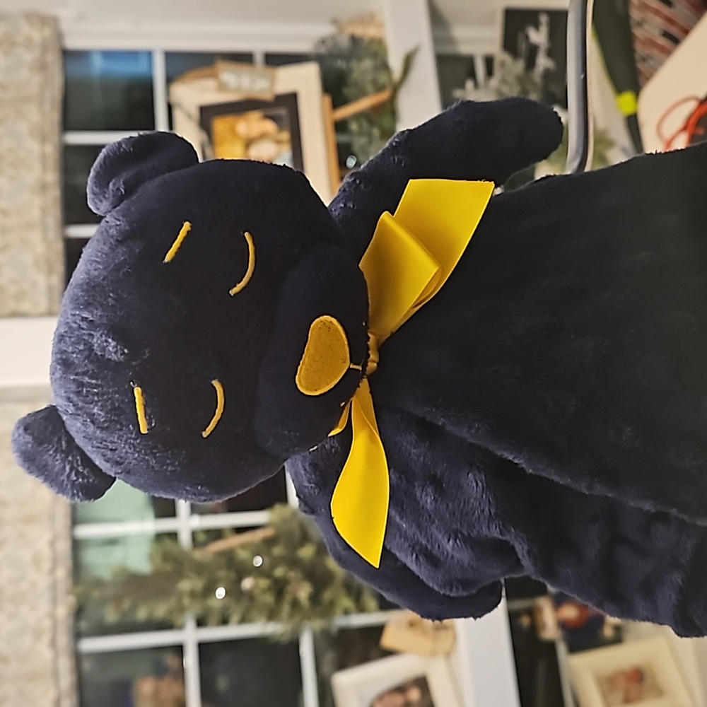 Future Wolverine Baby Snuggy  Michigan